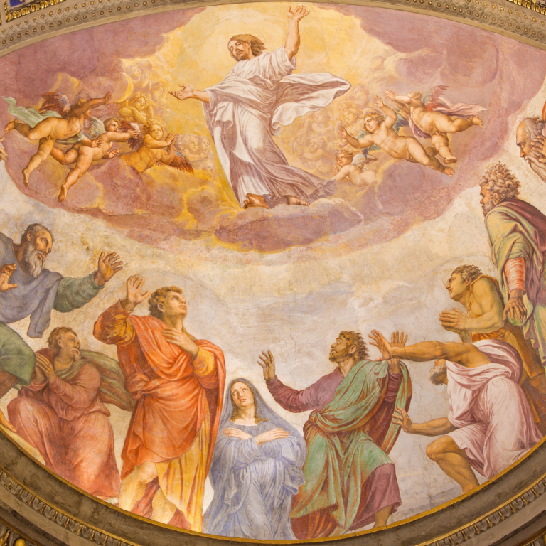 Read more about the article 1 Samuel 22:20-23 Active Obedience