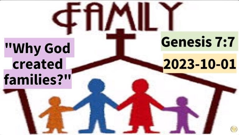 Read more about the article Genesis 7:7