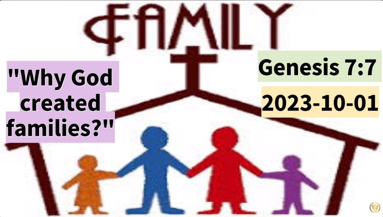 Read more about the article Genesis 7:7