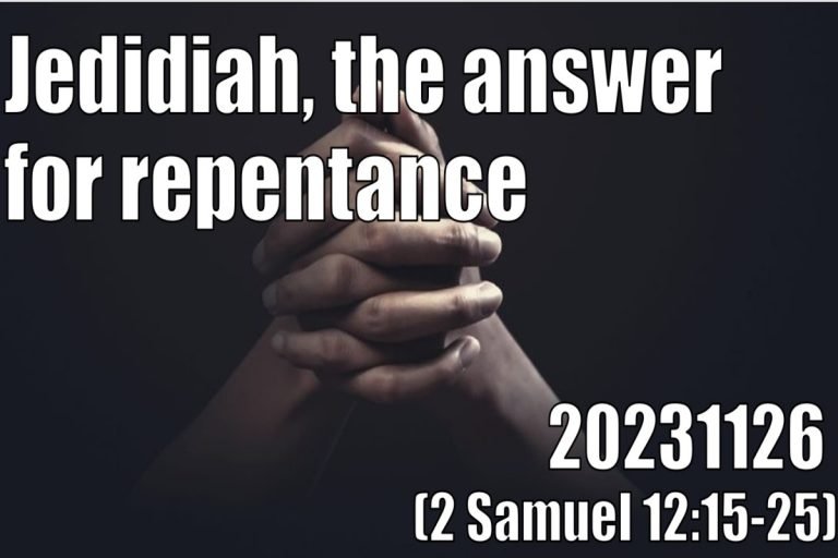 Read more about the article 2 Samuel 12:15-25