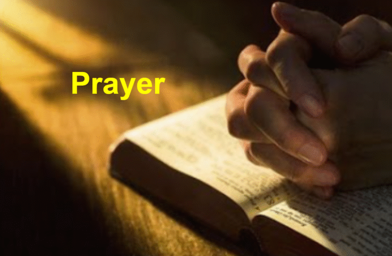 Read more about the article The Light That Breaks Our Darkness