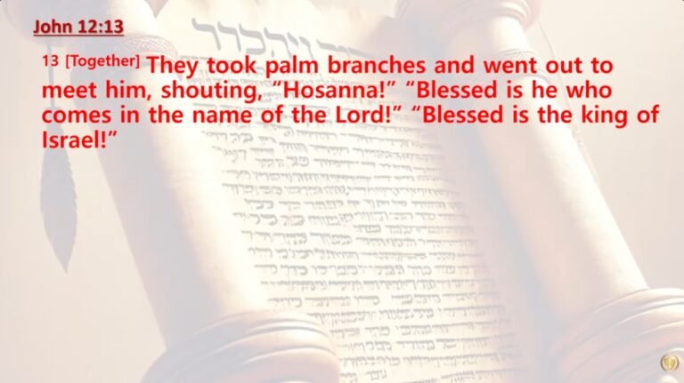 Read more about the article Hosanna for Palm Sunday (John.12:13)