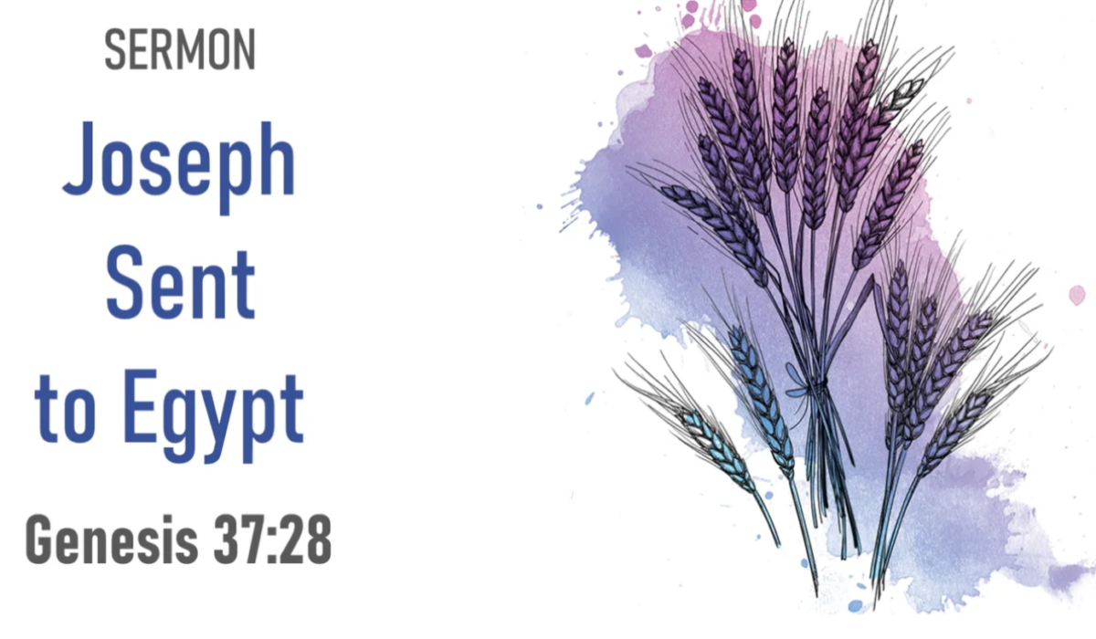 Joseph sent to Egypt (Genesis 37:28)