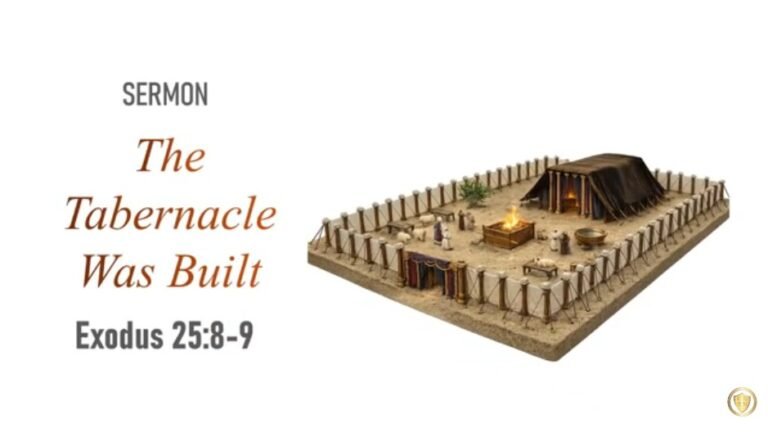 Read more about the article The Tabernacle Was Built (Exodus 25:8~9)
