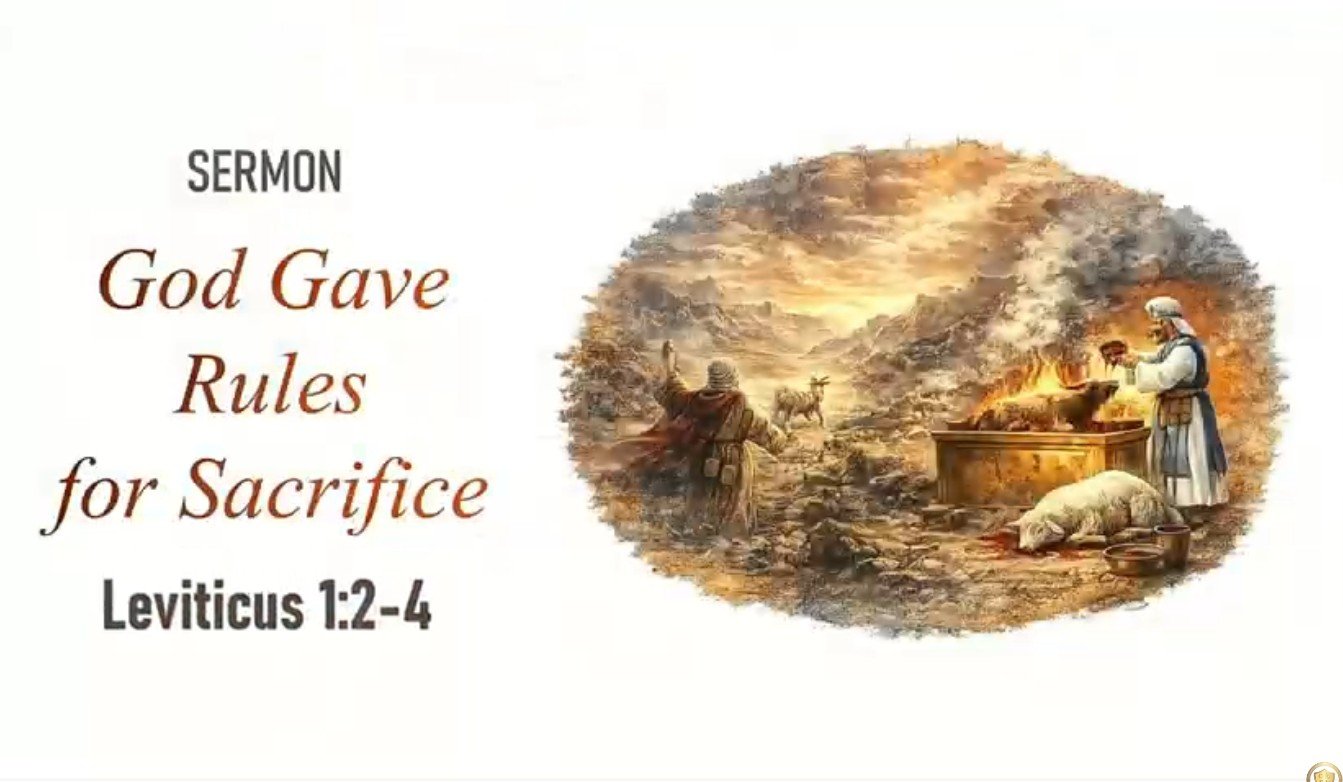 You are currently viewing God Gave Rules for Sacrifice (Leviticus 1:2-4)