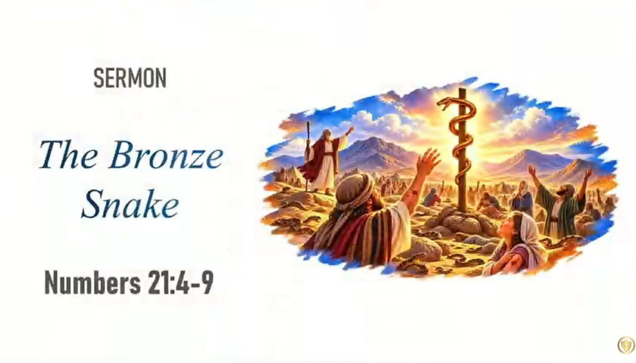 You are currently viewing The Bronze Snake